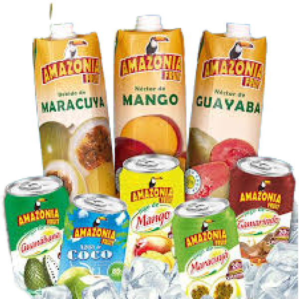JUGOS AMAZONIA SURTIDOS 330ML